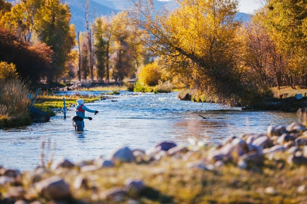 fly-fishing-eastern-summit-county-s-weber-river - p